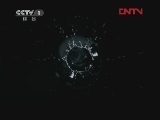 魅力纪录（CCTV-1综合频道） 《生命》3 哺乳动物