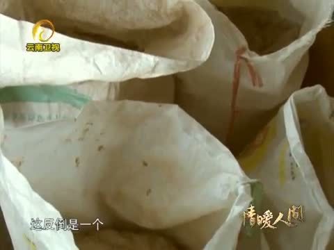 情暖人间 《情暖人间》 20130602