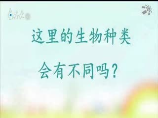 名师公开课 《我们周围的生物《六上“生物的多样性”》》授课教师：陈灵