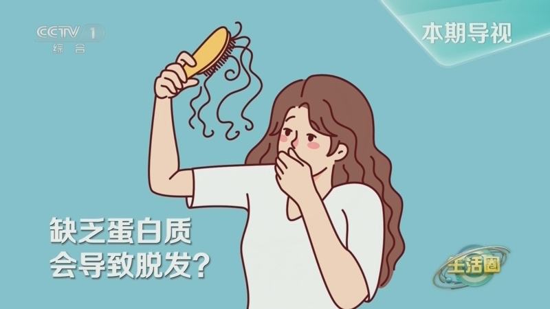 生活圈 《生活圈》 20241105