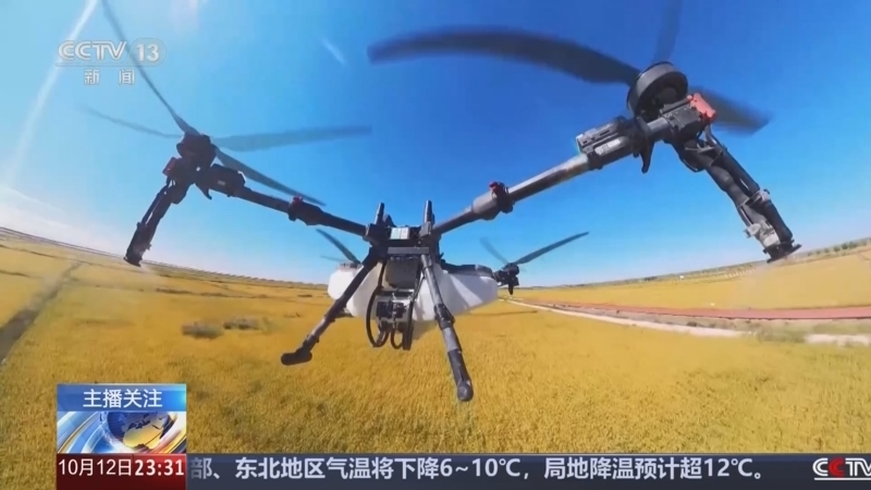 24小时 《24小时》 20241012