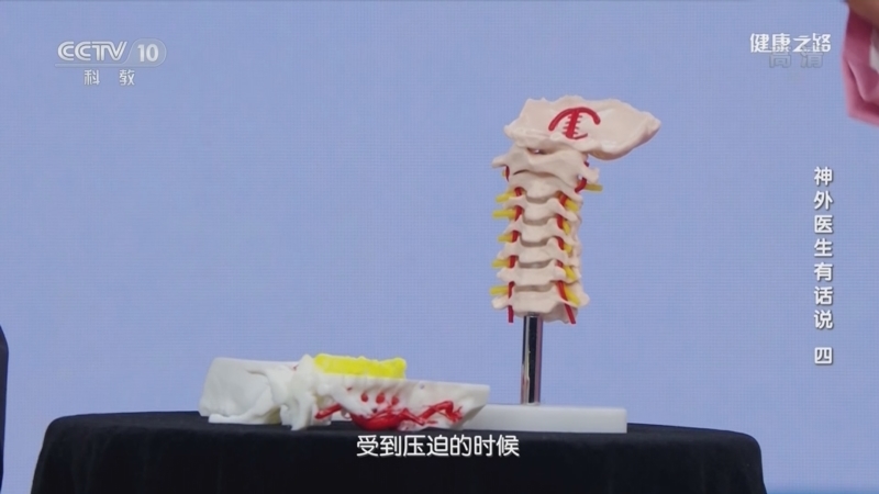 健康之路 《健康之路》 20221027 神外医生有话说（四）