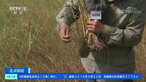 中国财经报道 《正点财经》 20191024 15:00
