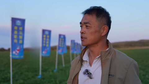 种植前线2025 祥云肥凡力量 薯写丰收华章