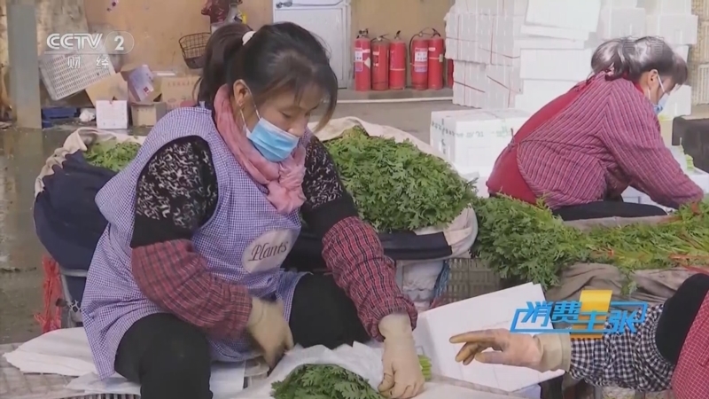 消费主张 《消费主张》 20220307 蔬菜价格是涨是跌？