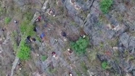 @所有人 致敬！65岁老人带队植树4年石山变林海
