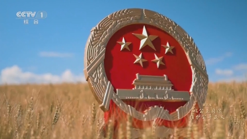 《习近平法治思想系列讲读》 第5集 以公正司法维护公平正义