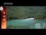 风华国乐 乐动神州 2