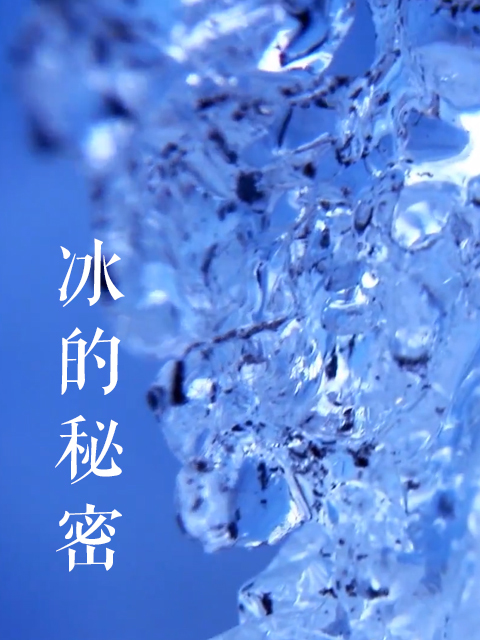 冰的秘密 海报