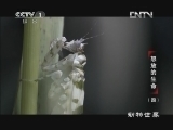 动物世界 《动物世界》 20121222 怒放的生命（四）