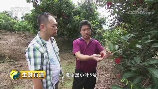 生财有道 《生财有道》 20181017 咱们家乡有特产（秋收系列）：走进海南保亭