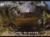 地理中国 《地理中国》 20131228 极限科考-死亡博弈（下）