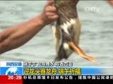 东方时空 《东方时空》 20160609
