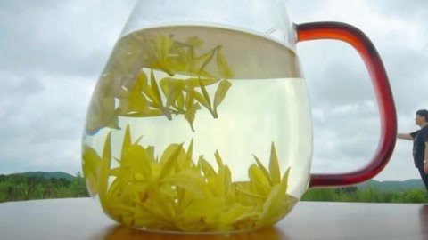 与梦想合拍 瓮安欧标茶