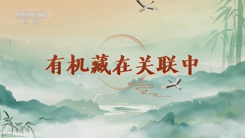 百家讲坛 《百家讲坛》 20250307 延年益寿话养生（第一部） 6 有机藏在关联中