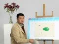天才小画家 潜能激发创作-青蛙