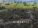 新闻袋袋裤 《新闻袋袋裤》 20160504
