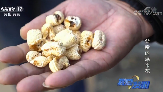 我爱发明 《我爱发明》 20200401 父亲的爆米花