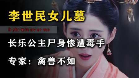 考古新发现第二季 陕西现李世民女儿墓 下，盗墓贼竟对尸体下手，专家怒斥恬不知耻