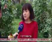 全省新闻联播 《全省新闻联播》 20140910