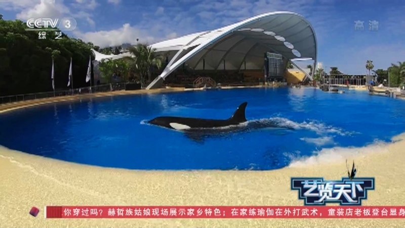 《艺览天下》 20210406 动物大使馆