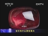 一槌定音 《一槌定音》 20130930