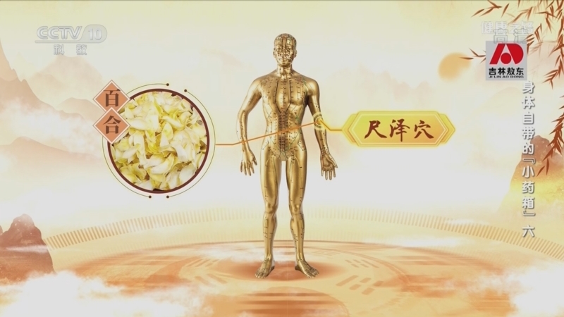 健康之路 《健康之路》 20221113 身体自带的“小药箱”（六）
