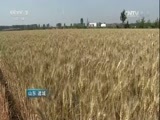 中国财经报道 《中国财经报道》 20160723 灾害之年的田间故事