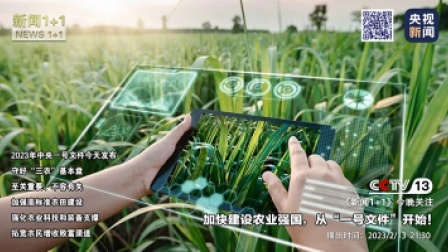 新闻1+1 2023 新闻1+1 加快建设农业强国，从“一号文件”开始！