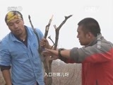 原来如此 《原来如此》 20151011 山林脱险