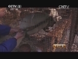 生财有道 《生财有道》 20150216 狐狸养出了百万财