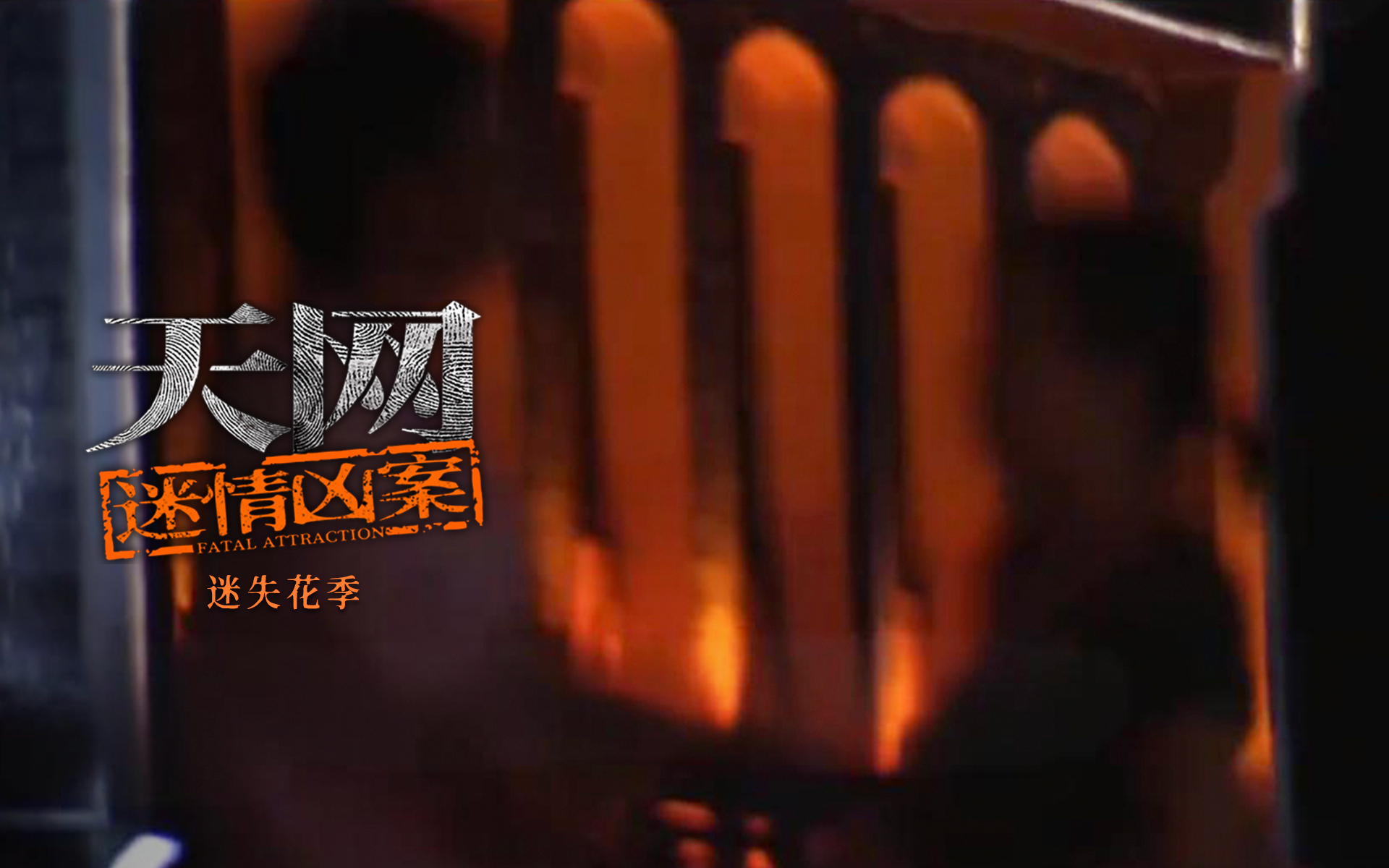 迷失花季