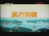 远方的家 《远方的家》 20120126 妙手夺天工