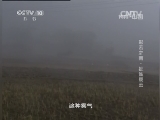 地理中国 《地理中国》 20140109 彩云之南-扯雀疑云
