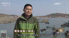 致富经 [致富经]赚钱全靠一种水 20161215