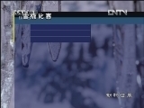 动物世界 《动物世界》 20121118 第一届动物冬奥会·预赛