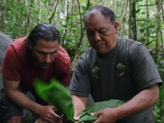 原始求生记 逃出亚马逊（Primal Survivor Escape The Amazon）第1集：茂密丛林