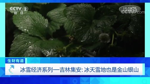 生财有道 《生财有道》 20191224 冰雪经济系列——吉林集安：冰天雪地也是金山银山