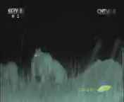 人与自然 《人与自然》 20140727 自然发现：狮子的夜晚（下）