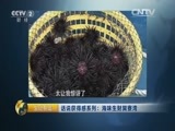 生财有道 《生财有道》 20160215 话说获得感系列：海味生财巽竂湾