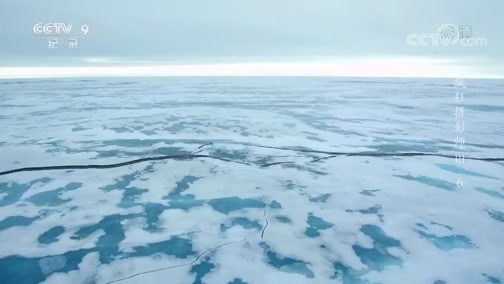 《疯狂摄影师》第三季 第六集 不一样的北极（2）