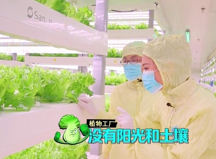 新闻大求真 植物工厂是如何生产蔬菜的？