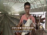 致富经 《致富经》 20151029 25岁小伙靠不吃的鸡蛋发财