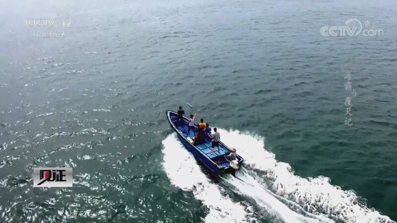 见证 《见证》 20200904 见证湛江（一）“海霸”覆灭记