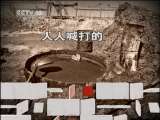 解密生物柴油 绿色空间 20110501