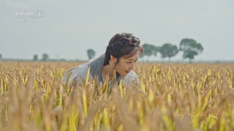 《寻味山海》 20260124 江苏溧水