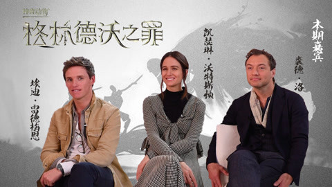猫眼大明星 神奇动物专访 裘德洛坦言饰演邓布利多有压力