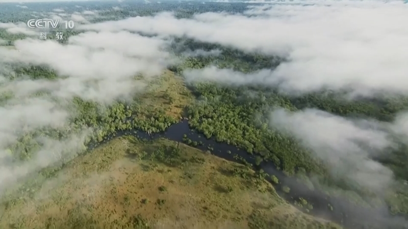 《自然传奇》 20260211 赤道荒野挑战 6