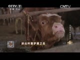 致富经 《致富经》 20150806 派出所里梦醒之后