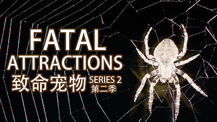 致命宠物第二季